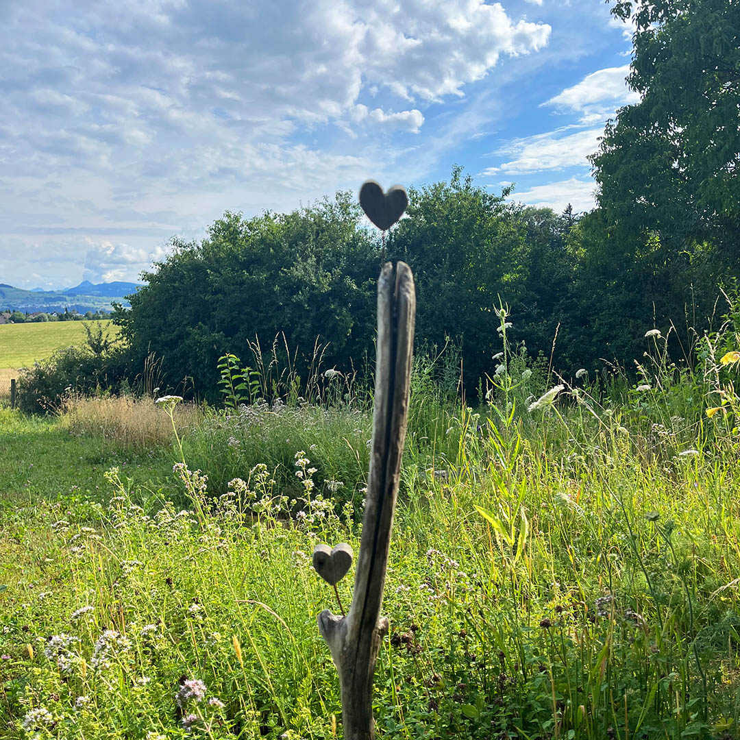 Lützelhuus Holzherzen im Garten 06-2026