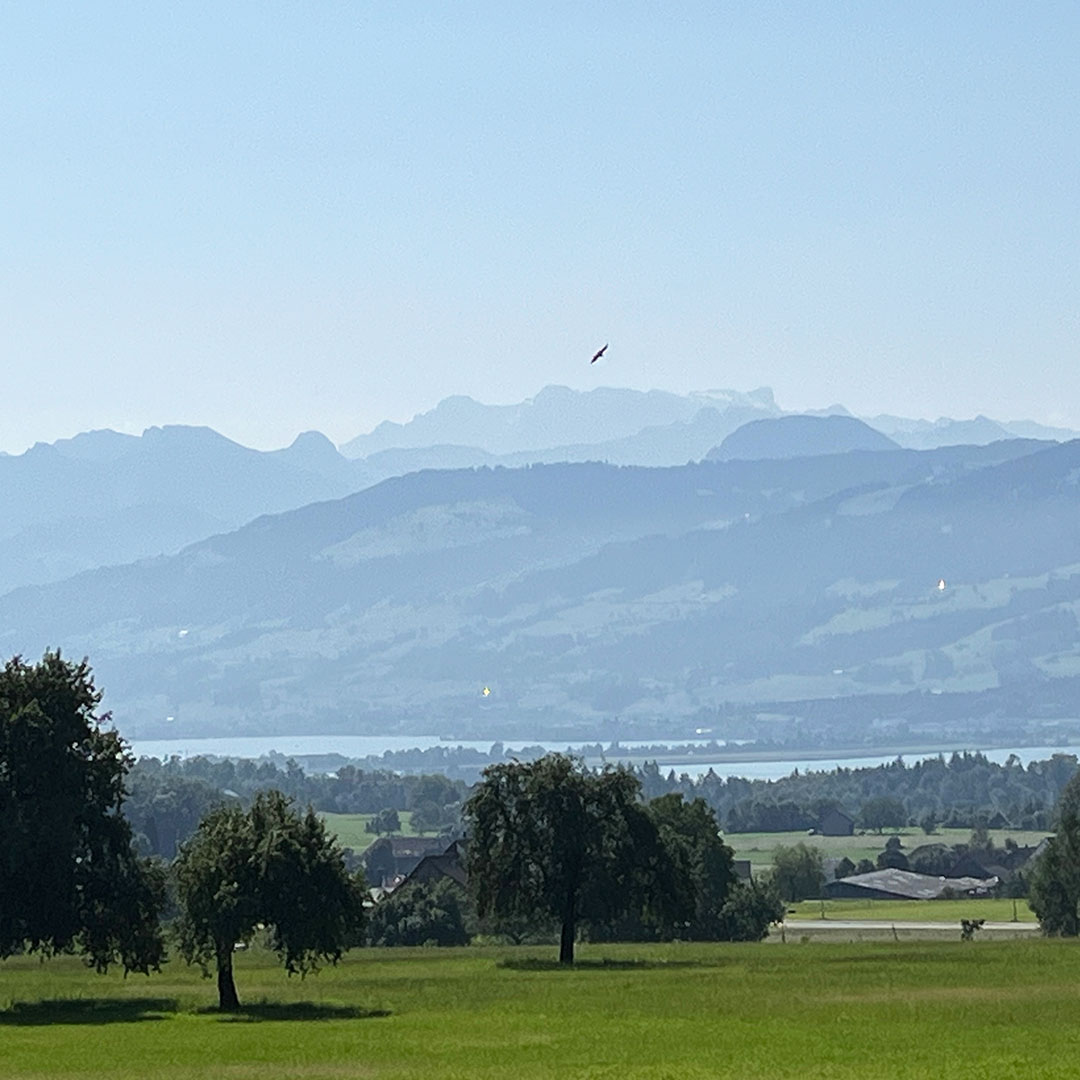 Lützelhuus Naturyoga Zürich Oberland 09-08-2024