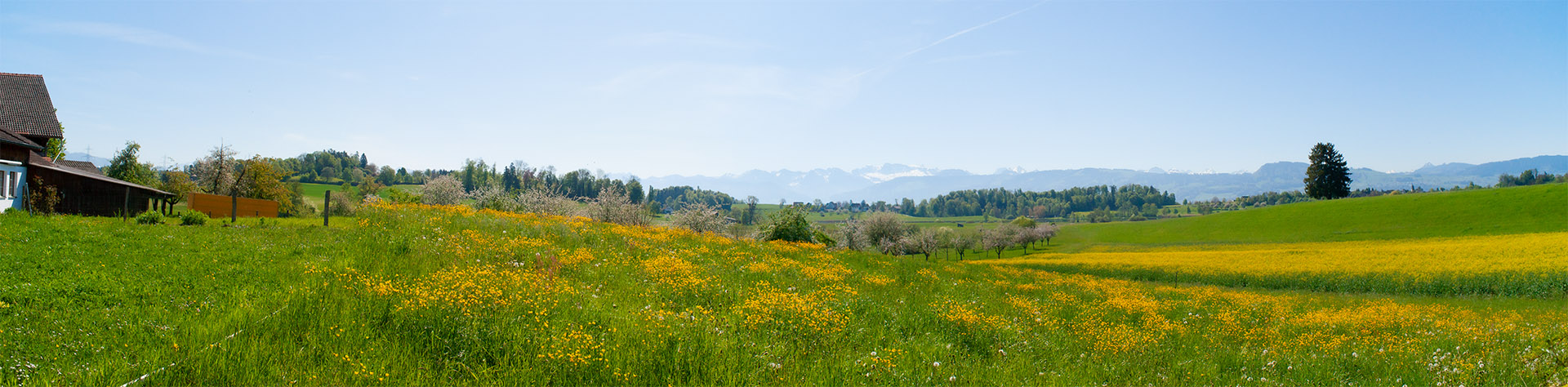 Lützelhuus Gartenblick, 23.4.2026