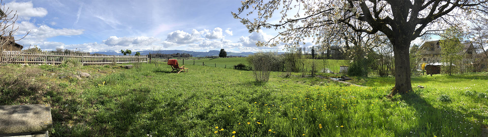 Lützelhuus Garten und Wiesen 15.4.2023