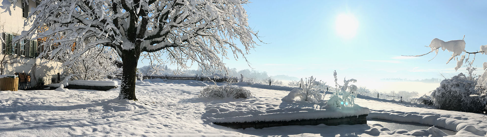 Lützelhuus Garten Dez. 2023