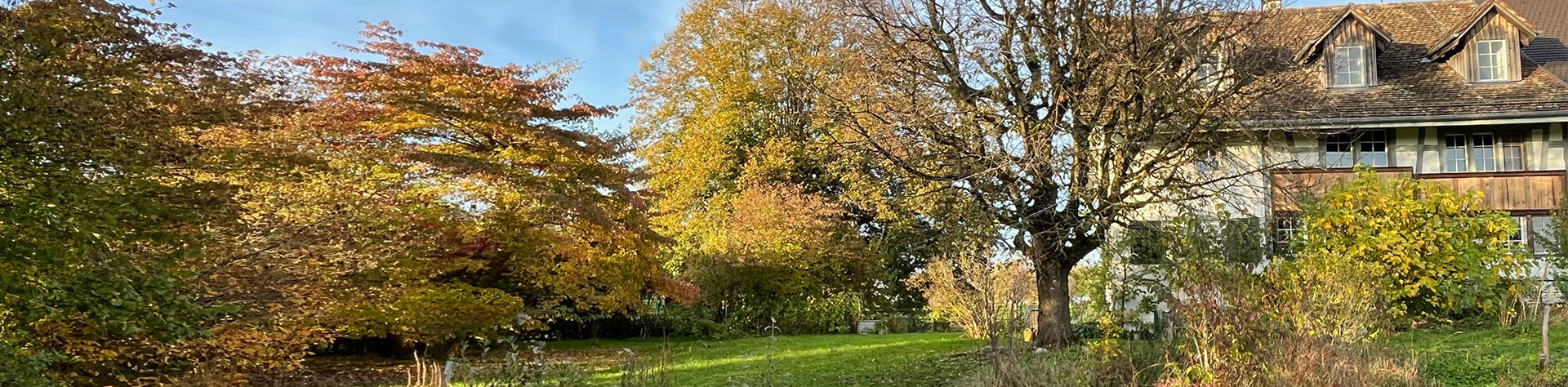 Lützelhuus mit Garten, 20. Oktober 2024
