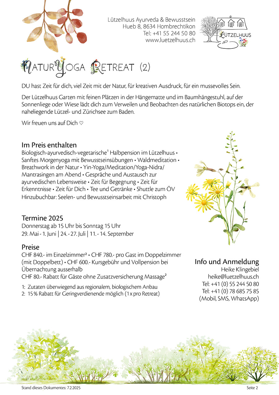 Angebot 8 PDF